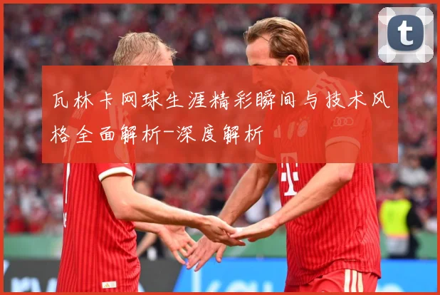 瓦林卡网球生涯精彩瞬间与技术风格全面解析-深度解析