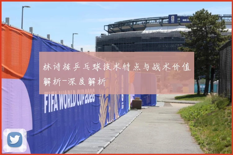 林诗栋乒乓球技术特点与战术价值解析-深度解析